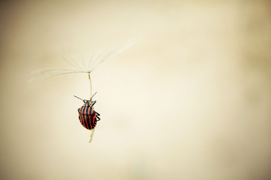 4EME PRIX © Alain Laboile