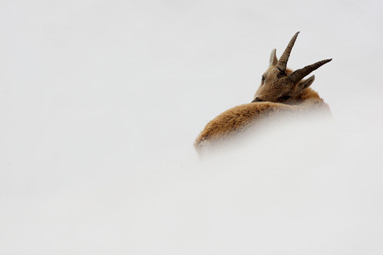 6EME PRIX © Jonathan Lhoir 6EME PRIX © Jonathan Lhoir