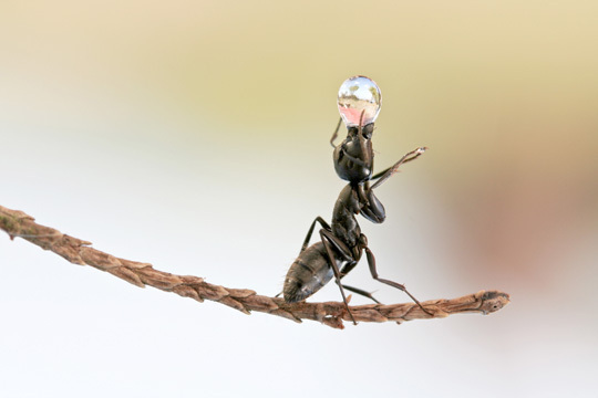 8EME PRIX © Alain Laboile 8EME PRIX © Alain Laboile
