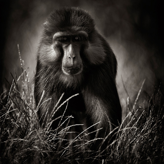 14EME PRIX © David Garnier 14EME PRIX © David Garnier