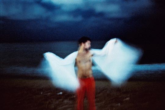 Du désir dans les ailes - © Flore-Aël Surun (France) Du désir dans les ailes - © Flore-Aël Surun (France)