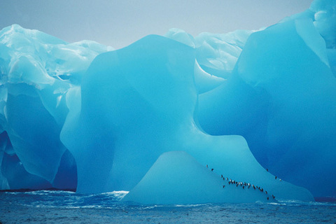 Il grande blu, iceberg | Antartide | Ecocepts International © Eyedea