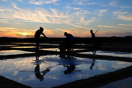 © Francis Jacquet © Francis Jacquet