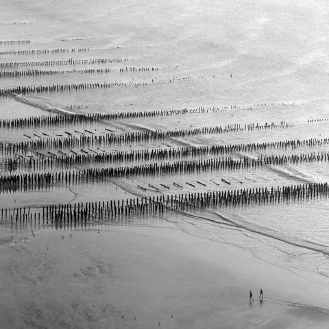 La 31ème photo : Seuls au monde. © Robin Carini La 31ème photo : Seuls au monde. © Robin Carini