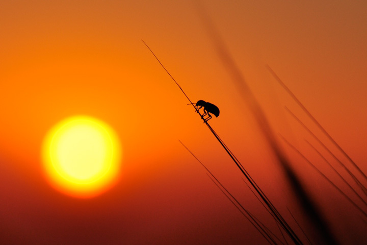 Voyage vers le soleil • Hamid Lemasra