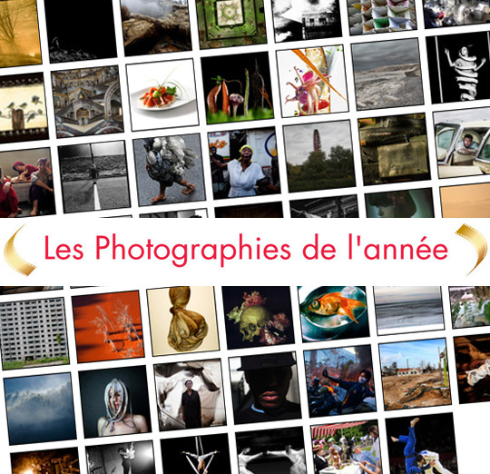 Les 48 photos finalistes des Photographies de l'Année