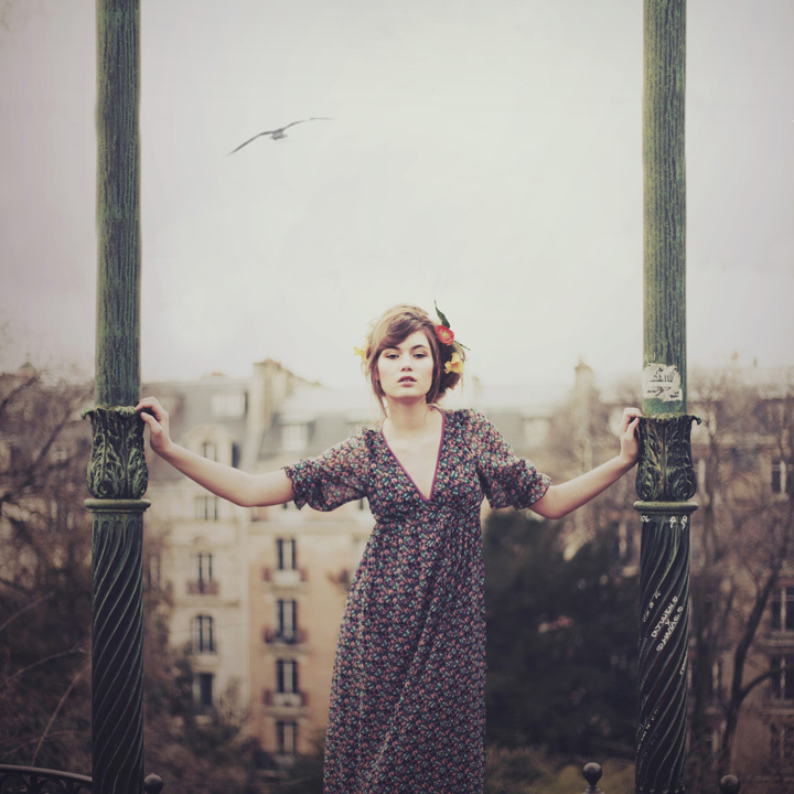 Birds VII • Alexandra Sophie Birds VII • Alexandra Sophie