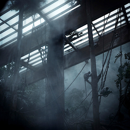 © Christophe Niel • Tous droits réservés © Christophe Niel • Tous droits réservés