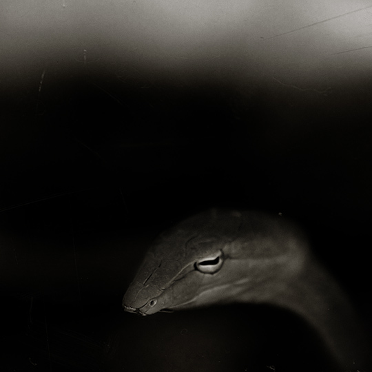 © Olivier Ramonteu • Tous droits réservés © Olivier Ramonteu • Tous droits réservés