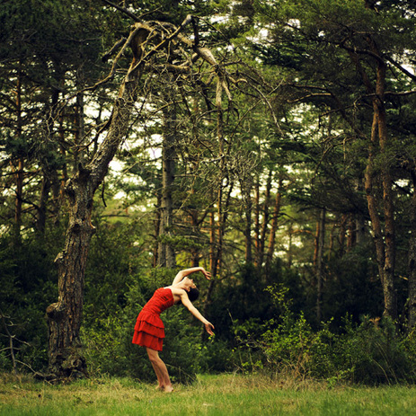 Révérence © Baptiste Sibé