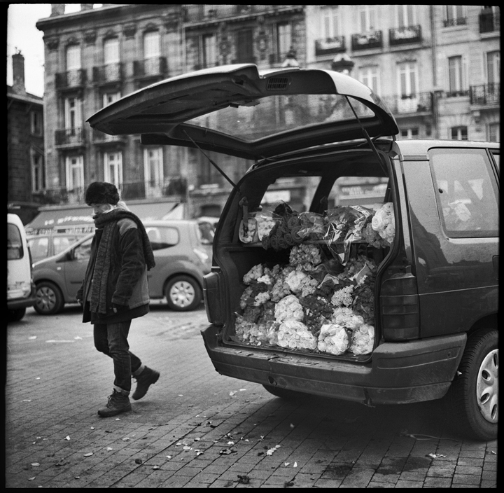 © Rémi Lagoin - Tous droits réservés