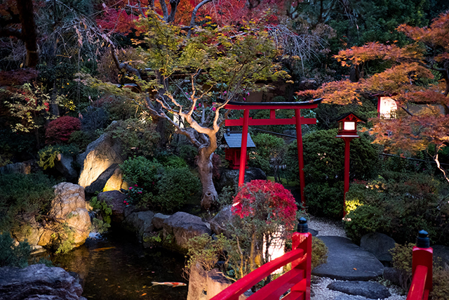 Participez à un voyage photographique au Japon et réalisez votre éditing avec Compétence Photo