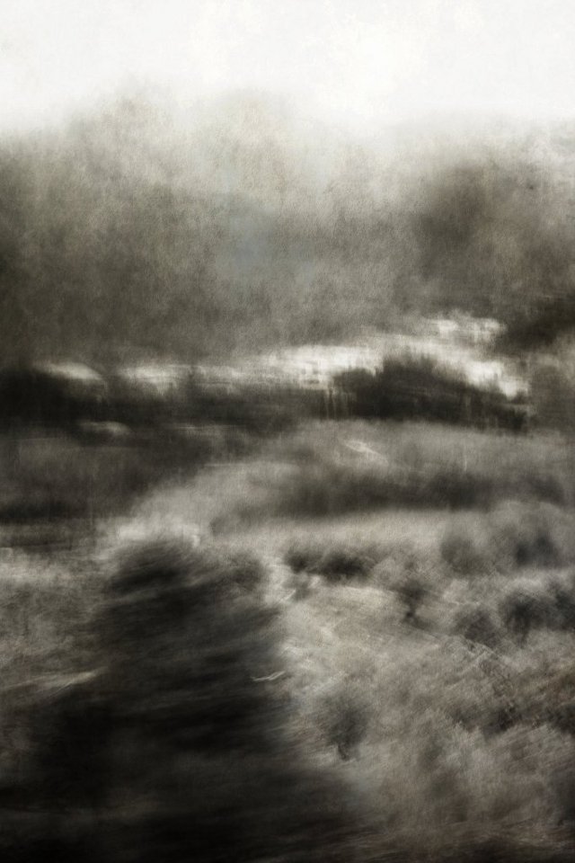 D'autres soleils • Véronique Loh (série) D'autres soleils • Véronique Loh (série)