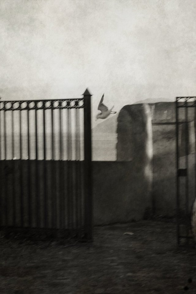 D'autres soleils • Véronique Loh (série) D'autres soleils • Véronique Loh (série)