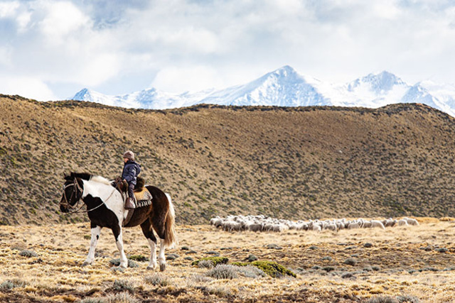 Les lauréats Arles 2019 de La Place des photographes Les lauréats Arles 2019 de La Place des photographes