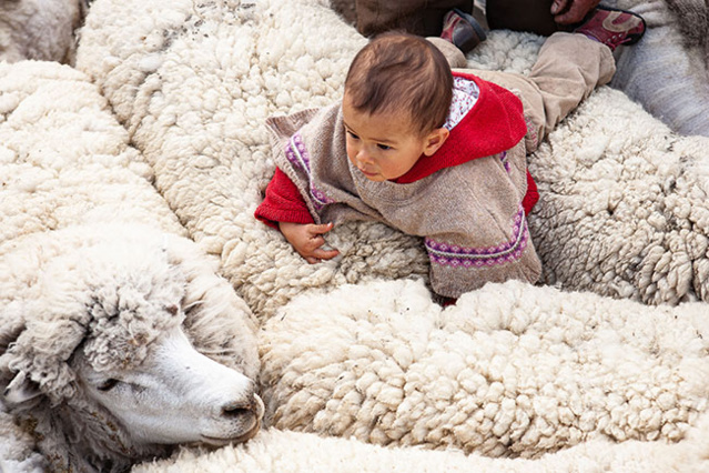 Les lauréats Arles 2019 de La Place des photographes Les lauréats Arles 2019 de La Place des photographes