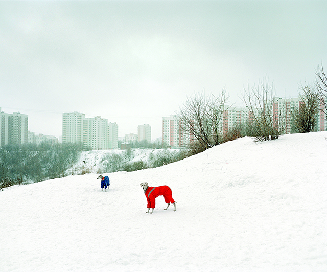 Le Festival Photo La Gacilly expose le grand froid venu de l'Est