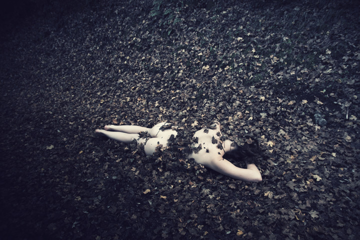 In leaves • Pauline Greefhorst In leaves • Pauline Greefhorst