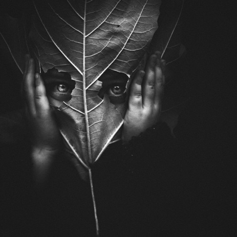 Little elfe © Jorris Martinez Little elfe © Jorris Martinez