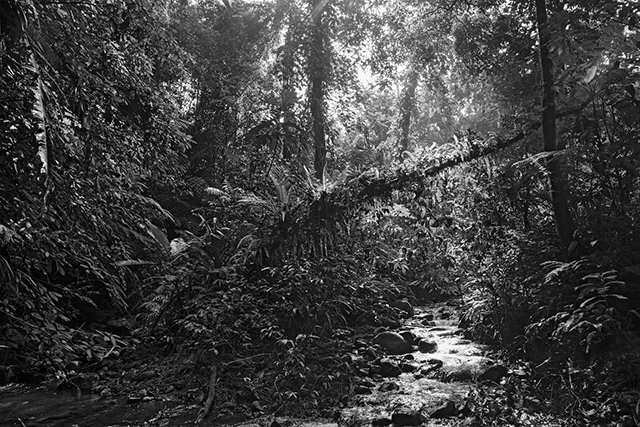 Les Palawan ou l'éloge de la diversité selon le photographe Pierre de Vallombreuse