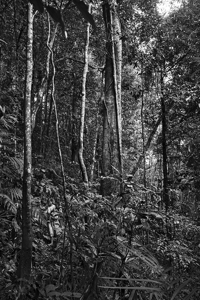 Les Palawan ou l'éloge de la diversité selon le photographe Pierre de Vallombreuse