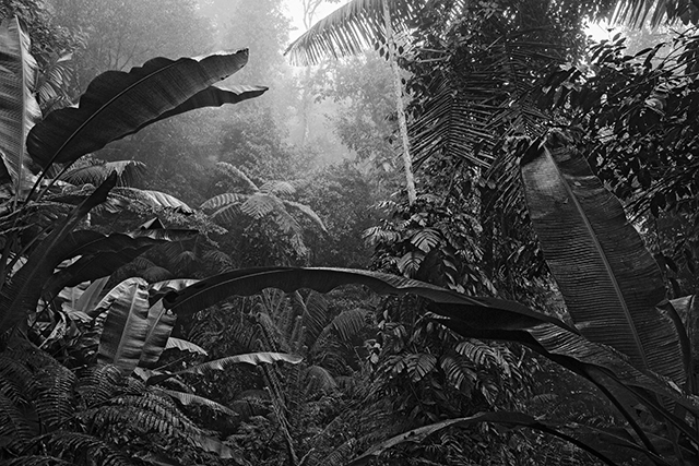 Les Palawan ou l'éloge de la diversité selon le photographe Pierre de Vallombreuse Les Palawan ou l'éloge de la diversité selon le photographe Pierre de Vallombreuse