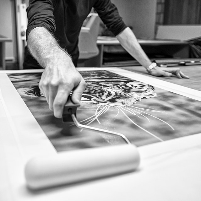 © Art Photo Lab © Art Photo Lab