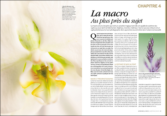 Apprendre la photo - Le guide pour bien débuter • Les guides pratiques Compétence Photo Apprendre la photo - Le guide pour bien débuter • Les guides pratiques Compétence Photo