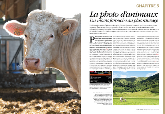 Apprendre la photo - Le guide pour bien débuter • Les guides pratiques Compétence Photo Apprendre la photo - Le guide pour bien débuter • Les guides pratiques Compétence Photo