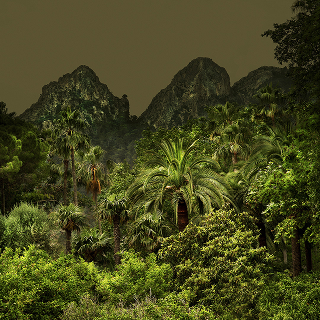 Pénétrez dans les jungles d’Olivia Lavergne au festival les Photaumnales (2/3)