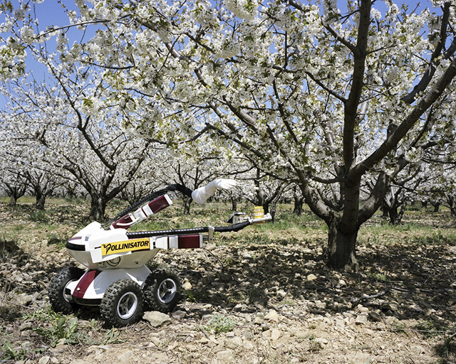 La dystopie agricole d’Alexa Brunet s’expose au festival photo Les Photaumnales (3/3)