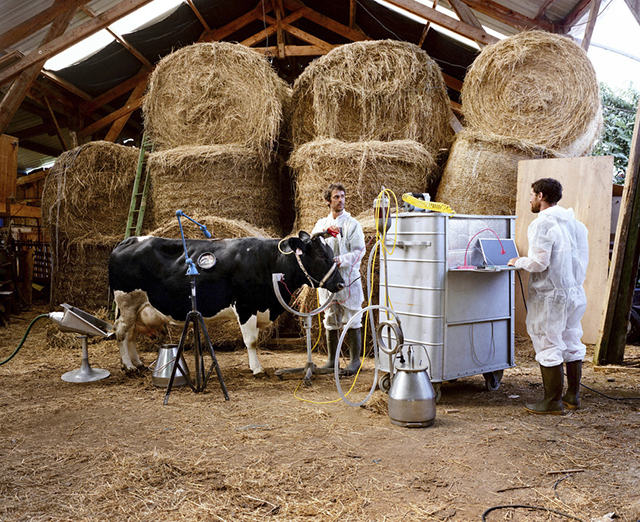 La dystopie agricole d’Alexa Brunet s’expose au festival photo Les Photaumnales (3/3)