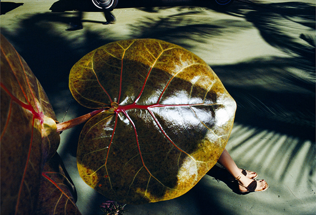 L'exposition "L’image dans l’image", du photographe Guy Bourdin à l’Isle-sur-la-Sorgue