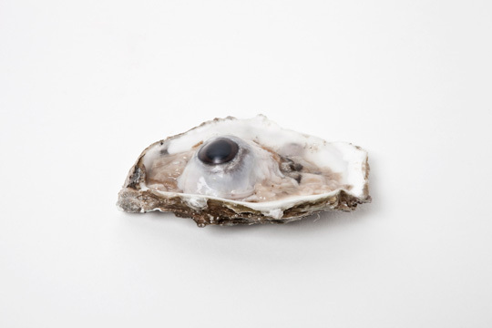 © Marlous van der Sloot, sélectionnée du Prix Voies Off 2011 © Marlous van der Sloot, sélectionnée du Prix Voies Off 2011