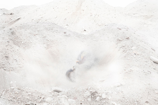 © Zhao Renhui, nominé du Prix Voies Off 2011 © Zhao Renhui, nominé du Prix Voies Off 2011