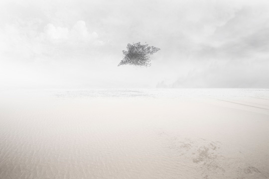© Zhao Renhui, nominé du Prix Voies Off 2011 © Zhao Renhui, nominé du Prix Voies Off 2011