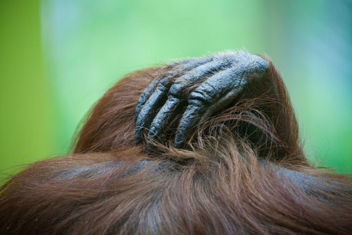 Leave me alone • Nicolas Orillard-Demaire Leave me alone • Nicolas Orillard-Demaire