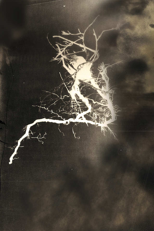 Tchernobyl Herbarium ou la beauté évanescente des radiations exposée par la photographe Anaïs Tondeur Tchernobyl Herbarium ou la beauté évanescente des radiations exposée par la photographe Anaïs Tondeur