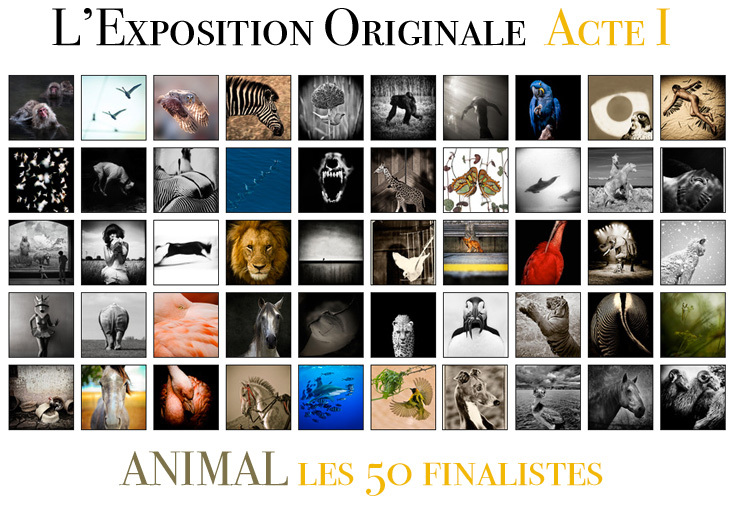 Les 50 finalistes de l'Acte I de L'Exposition Originale