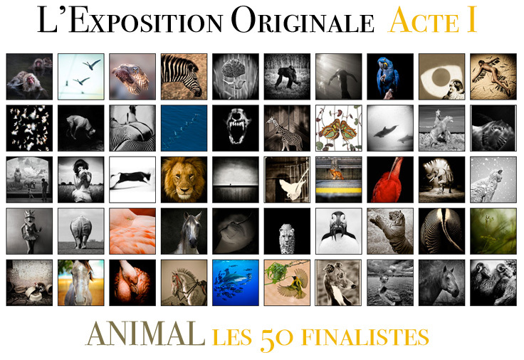 Les 50 finalistes de l'Acte I de L'Exposition Originale Les 50 finalistes de l'Acte I de L'Exposition Originale