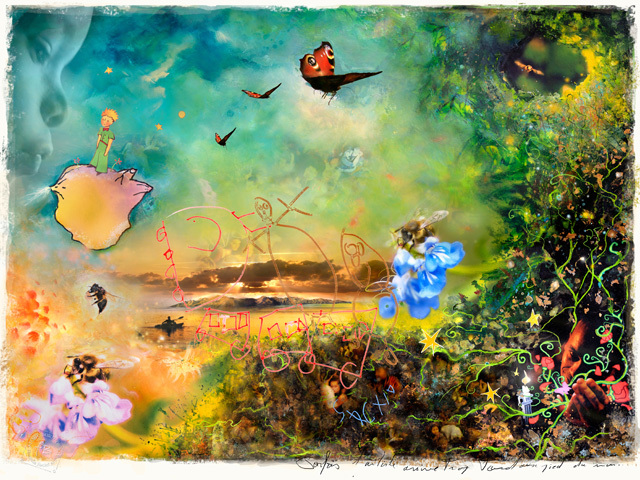 Le paradis bleu (M Life) © Franck Boucher Le paradis bleu (M Life) © Franck Boucher