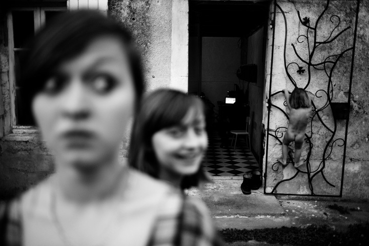 Spider in the corner © Alain Laboile Spider in the corner © Alain Laboile