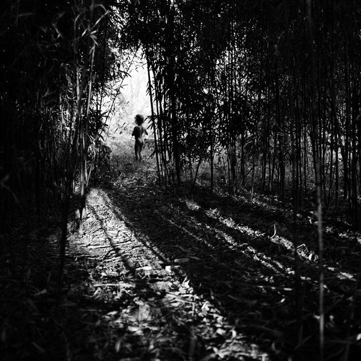 Through © Alain Laboile Through © Alain Laboile