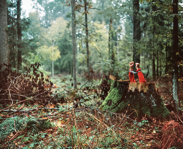 Le chant du cygne immortalisé par la photographe Andrea Olga Mantovani