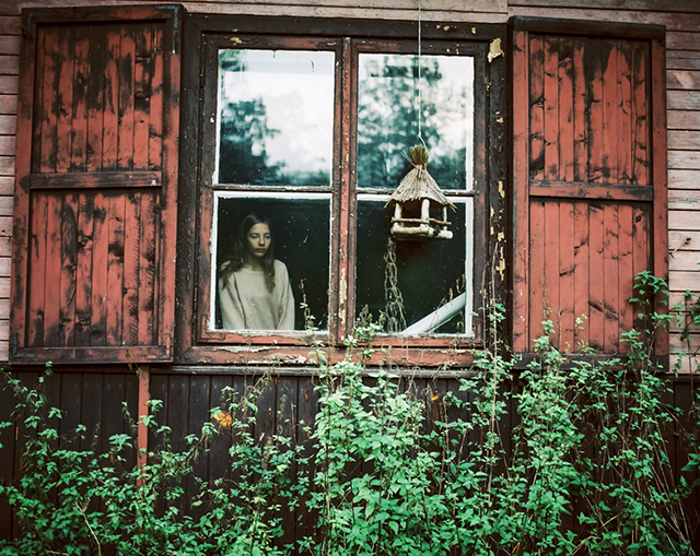 Le chant du cygne immortalisé par la photographe Andrea Olga Mantovani