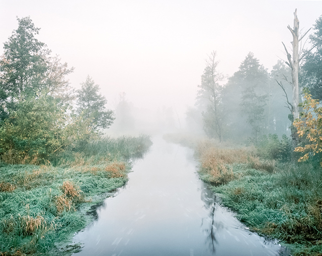 Le chant du cygne immortalisé par la photographe Andrea Olga Mantovani