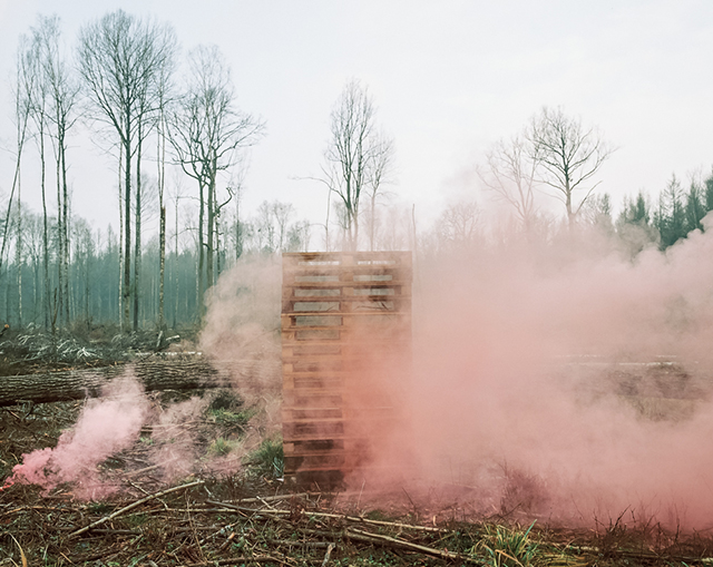 Le chant du cygne immortalisé par la photographe Andrea Olga Mantovani