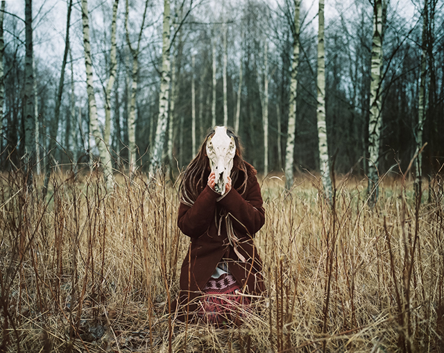 Le chant du cygne immortalisé par la photographe Andrea Olga Mantovani