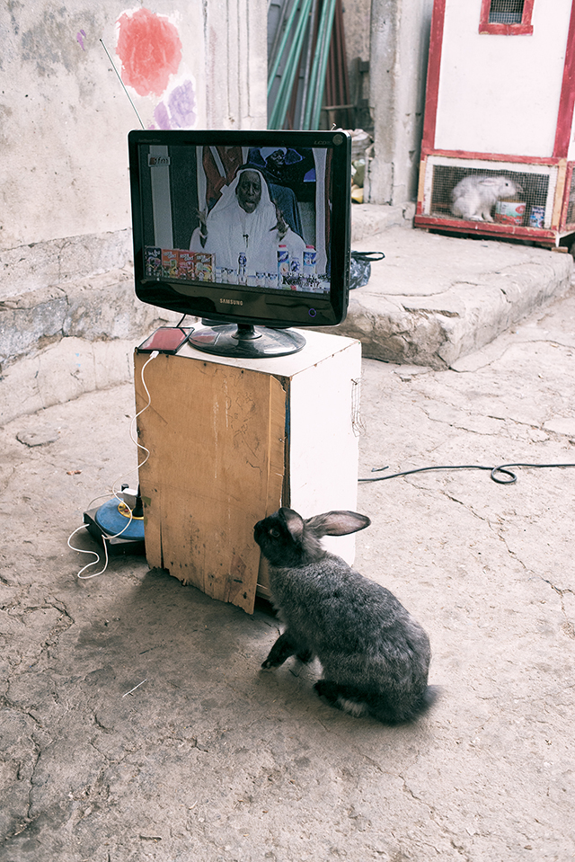 L’Afrique subsaharienne célébrée par le festival photographique L’Œil Urbain