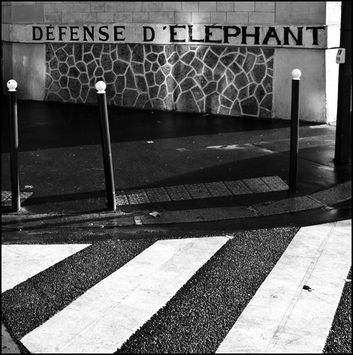 © Rodolphe Sebbah - Tous droits réservés © Rodolphe Sebbah - Tous droits réservés